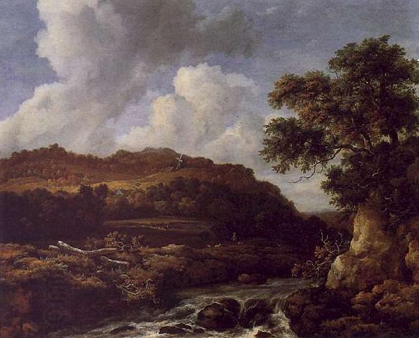 Jacob van Ruisdael The Great Forest oil painting picture